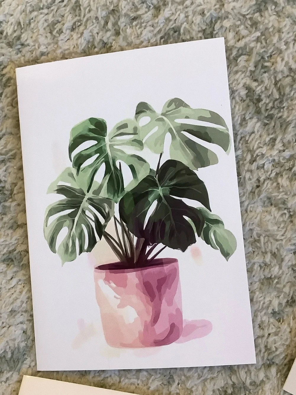 Potted Tropical Plants Note Cards Variety Pack Set of 6 Blank inside NWT HC
